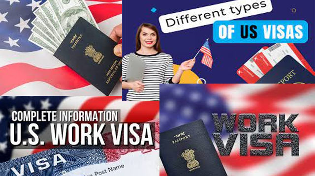 how many types of us visa